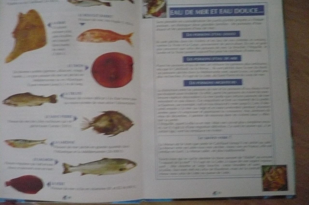 RECETTES DU GOURMET VIANDE & POISSONS volume 1 & 2 (1999) – photo 8
